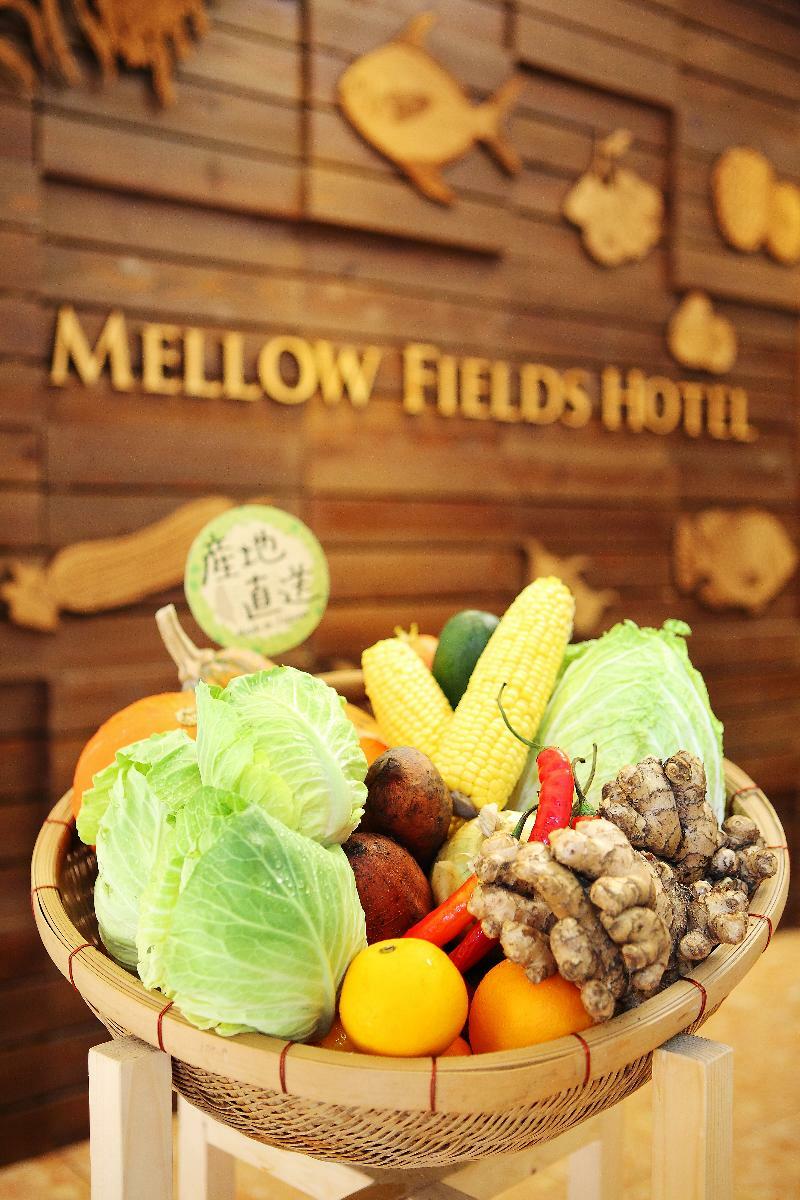 Mellow Fields Hotel Тайбей Екстер'єр фото